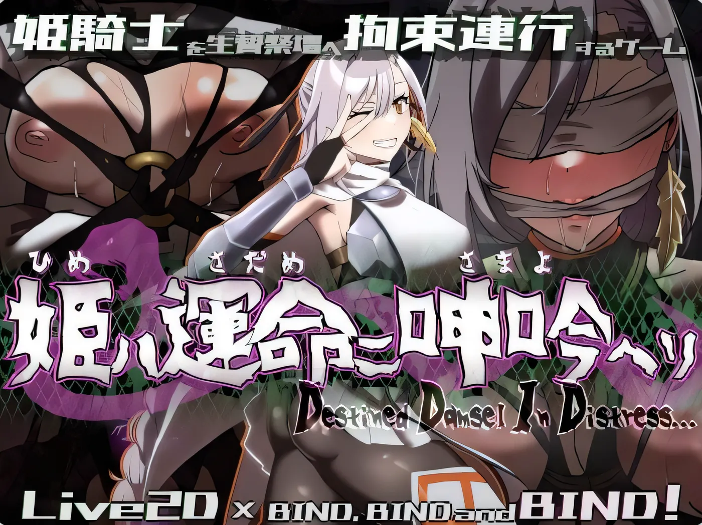 姬在命运中呻吟 姫ハ運命ニ呻吟ヘリ Destined Damsel In Distress ver1.0.4 AI汉化版 [新作/527.1M]