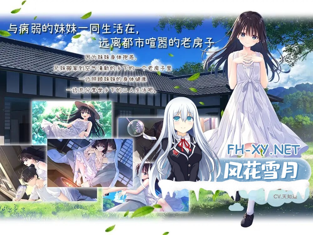 [日系RPG汉化]动态 痴情哥哥与病弱妹妹的乡间生活 Sickly Days and Summer Traces V25.12.01+DLC1-5+存档[5.3G]
